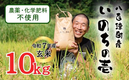 
            新米先行受付(10月20日以降発送)【令和7年産】栽培期間中農薬・化学肥料不使用 オータニ農業の『いのちの壱』玄米10kg (431)
          