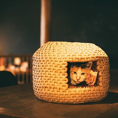 ふるさと納税 久万高原町 猫ちぐら 大