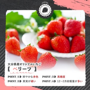 ＜2026年1月上旬～3月下旬の間に発送予定＞いちご(計約1.12kg・280g×4P)苺 イチゴ フルーツ 果物 くだもの 果実 ベリーツ【117900500】【Farm U.S.A.】