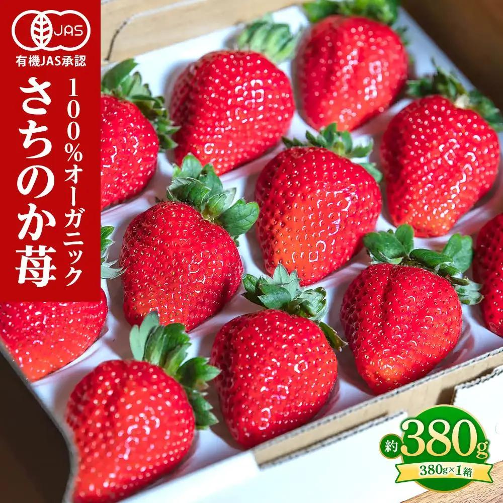 とくしまオーガニックいちご 大粒12～15粒（約380g）１箱｜イチゴ フルーツ 果物 苺 国産 有機いちご オーガニックいちご 贈答用【2026年12月下旬から順次発送】