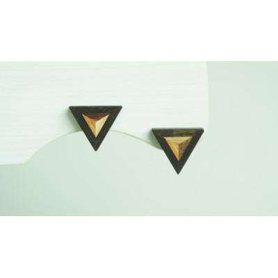 ふるさと納税 日南町 FOSSIL SERIES　トライアングルピアス