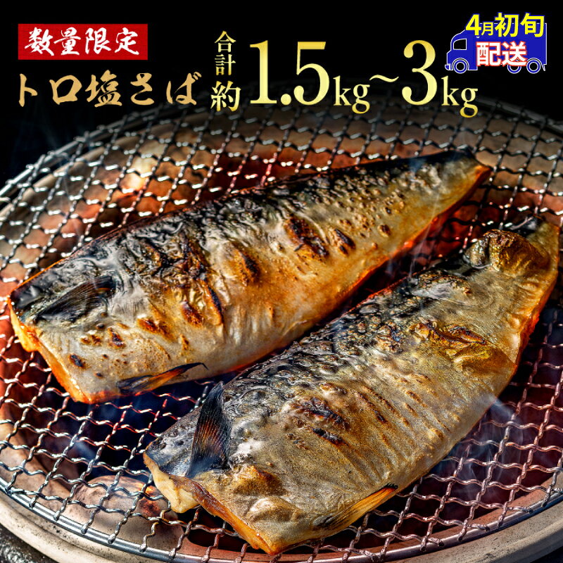 訳あり トロ 塩さば 3.5kg 大盛り 千葉 銚子 塩鯖 おかず おつまみ 酒 あて 海鮮 魚 飯田商店 ※北海道、沖縄、離島への配送不可