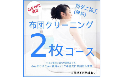 [№5895-0591]ふとんクリーニング 2枚 （羽毛限定）