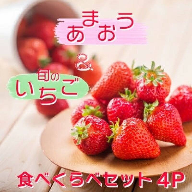 【ふるさと納税】いちご いちご職人 白木のいちご 「あまおう2P」と「旬のいちご2P」 食べ比べ セット イチゴ 苺 果物 デザート ※配送不可：沖縄・離島　お届け：2026年2月上旬～4月下旬まで