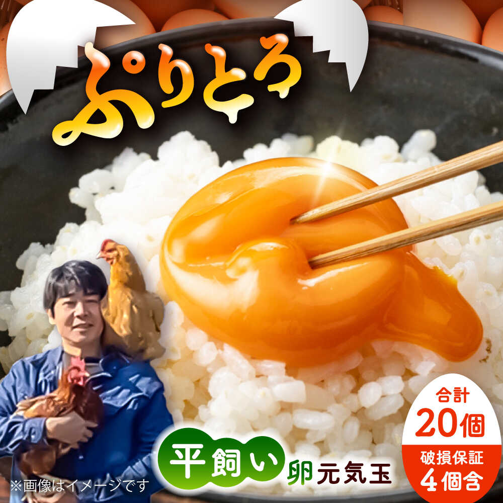 【ふるさと納税】平飼い新鮮たまご 元気玉 計20個(10個×2パック) / 卵 ぷりぷり 新鮮 平飼い 自然飼育 コク 甘み 玉子 オムレツ たまごかけごはん 朝食 朝ごはん 鶏卵 平飼い 濃厚 こく 熊本県 菊陽町【ぴよっこファーム】[BHAP001]