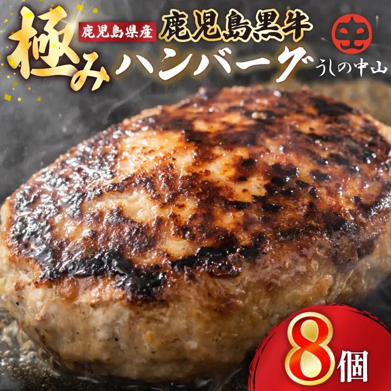 【ふるなびWEEK対象】1104 鹿児島県産『 鹿児島黒牛 』極めた ハンバーグ 8個 KN050-001-03-cpf 肉 牛肉 黒毛和牛 惣菜 総菜