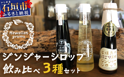 ジンジャーシロップ飲み⽐べ3種セット(120ML×3本) HW-1 【沖縄県石垣市 沖縄 沖縄県 琉球 八重山 八重山諸島 石垣 石垣島 送料無料 ⽯垣島産⽣姜 生姜 シロップ ジンジャー ジンジャー
