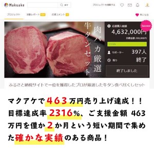 牛タン中焼肉600g、新食感牛タンハンバーグ5個 大好評セット