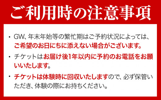 【予約制】福永幸山堂の藍染体験 ハンカチ体験チケット ペア体験チケット 福永幸山堂《30日以内に出荷予定(土日祝除く)》熊本県 ---sm_kouaihan_30d_23_12500_2p---