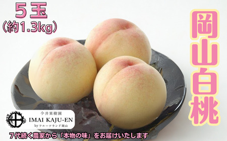白桃 5玉 約1.3kg 岡山県産 【先行予約 2026年7月上旬から順次発送】
