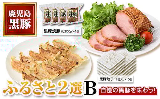 
            B02104 ふるさと2選B 焼豚(約200g×4個・計800g)と餃子(12個入×10パック・計120個)のセット 鹿児島 国産 九州産 黒豚 豚肉 お肉 焼豚 餃子 冷凍 おかず ギフト 贈答 特別な日に【和田養豚】
          