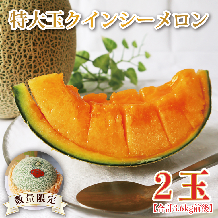 特大玉クインシーメロン(2玉)(BW-26)