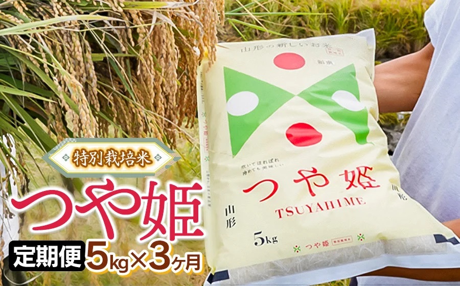 【定期便】令和6年産 特別栽培米 つや姫 精米 5kg×3ヶ月 山形県鶴岡市産 株式会社嘉左エ門