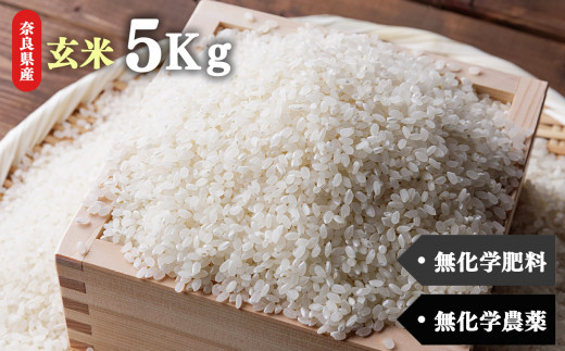 生命の農法（無化学農薬・無化学肥料栽培）お米（5kg）玄米【令和7年産】 | 米 こめ コメ お米 おこめ オコメ 玄米 げんまい ゲンマイ 奈良県 五條市