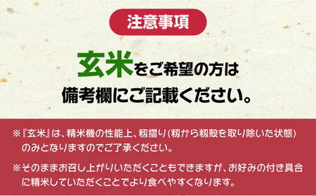 佐護 ツシマヤマネコ 米 5kg×2 《対馬市》【一般社団法人MIT】 お米 玄米 対馬 精米 減農薬 猫 動物保護 対馬 10kg[WAP023]