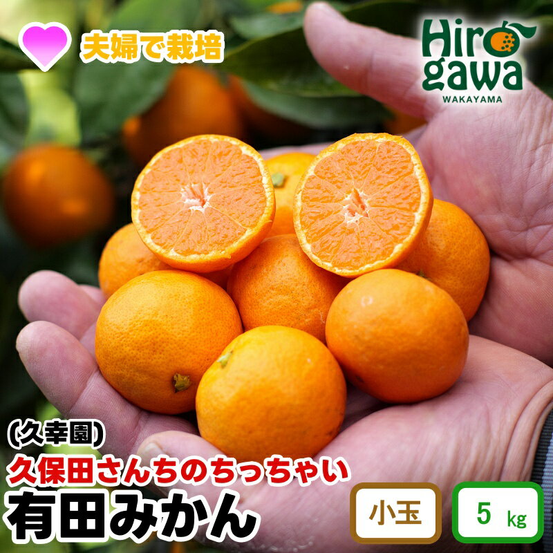【ふるさと納税】 ちっちゃい 有田みかん 5kg 久幸園 ※11月下旬〜順次発送予定 / みかん 温州みかん フルーツ 小玉 小粒 家庭用 濃厚 完熟 柑橘 和歌山 有田 広川 秋 冬 旬 甘い 甘味 果汁 おすすめ オススメ 本場 ホンマモン //mandarin //jcm