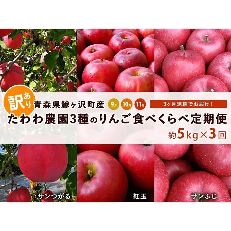 りんご 3種 サンつがる 紅玉 サンふじ 訳あり りんご【約5kg 14〜18玉】【定期便3ヶ月】