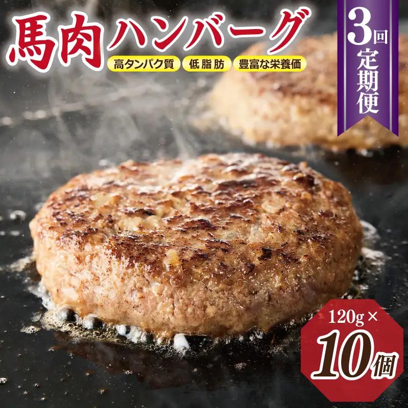 【定期便】 桜文 馬肉ハンバーグ 120ｇ×10個 全3回 【毎月配送コース】