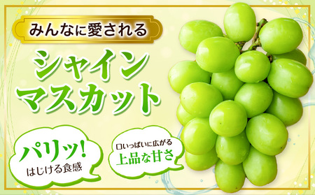 厳選シャインマスカット約1.3kg
