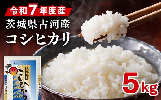 令和7年産 古河産コシヒカリ（5kg） | 米 こめ コメ 5キロ こしひかり コシヒカリ 古河市産 茨城県産 贈答 贈り物 プレゼント 茨城県 古河市 直送 産地直送 送料無料 着日指定可 着日指定OK ※2025年9月上旬頃より順次発送予定 _DP07