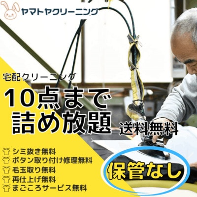 宅配クリーニング10点コース(保管なし)ボタン修理・毛玉取り付き!【配送不可地域：離島・沖縄】【1525291】