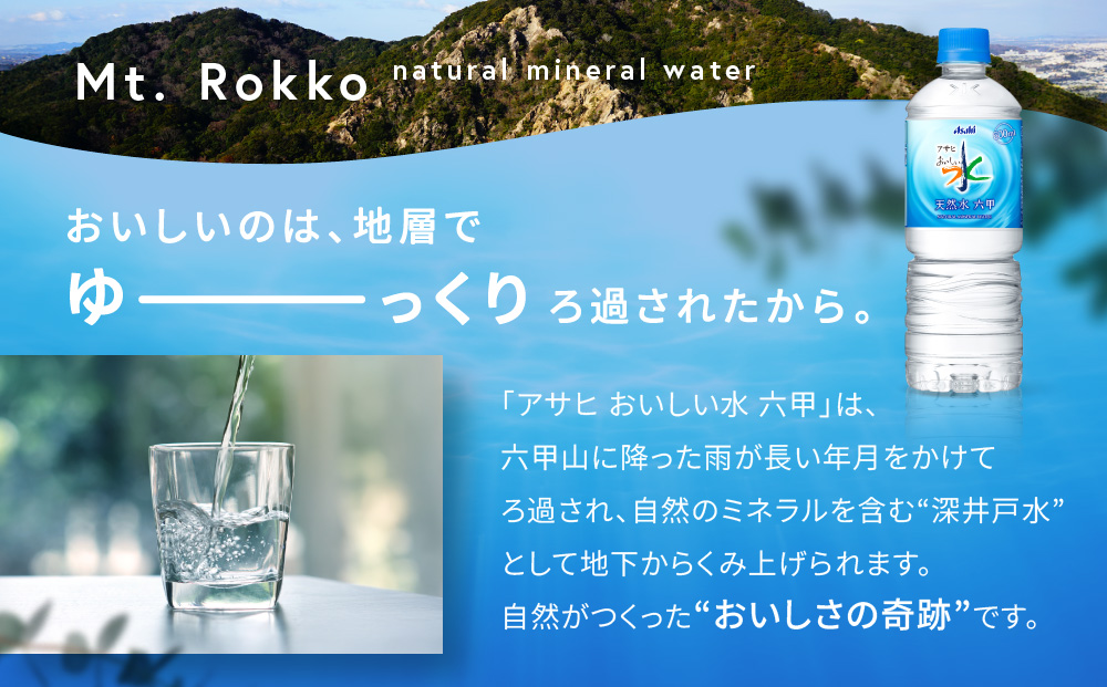 アサヒ飲料 おいしい水 天然水 六甲（600mlペットボトル×24本）
