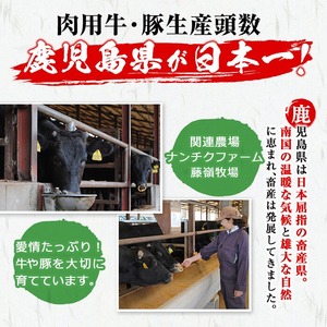 豚タンパストラミスライス 計120g(60g×2P) p7-050