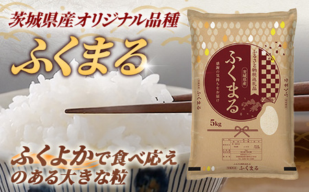 令和7年産 茨城県産 ふくまる 5kg ／ お米 精米 新米 旨味 安心 美味しい 茨城県 五霞町