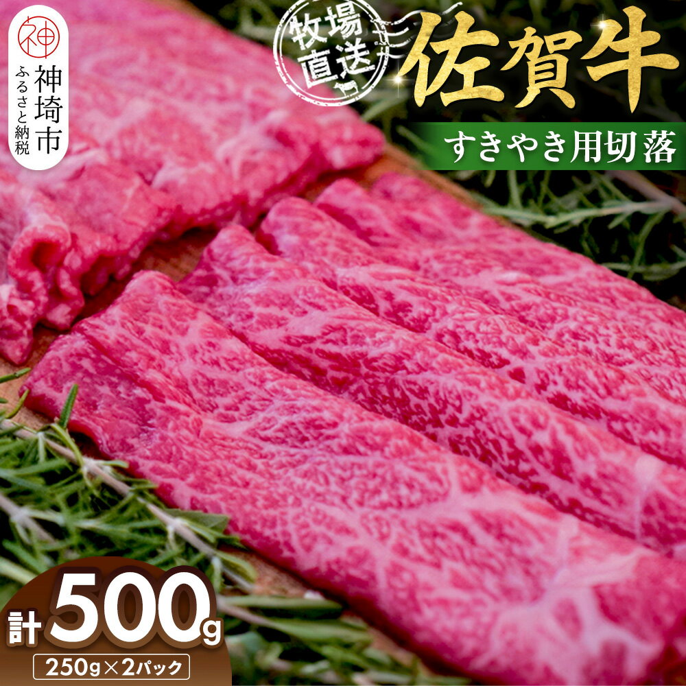 【ふるさと納税】佐賀牛 すきやき用切落250g×2パック計500g【佐賀牛 すき焼き用 切り落とし 牧場直送 小分け】(H122140)