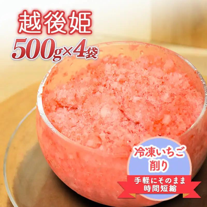 削りいちこ゛越後姫500g×4袋 冷凍 イチゴ 苺 果物 フルーツ 新潟 苺の花ことば