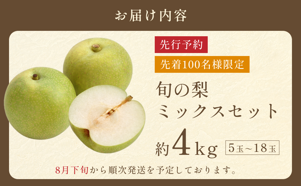 先行予約 品種はおまかせ 旬の梨ミックス 4kg｜鳥取 果物 フルーツ なし 梨【41041】