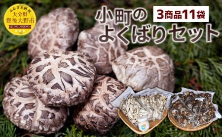 008-301x1 小町のよくばりセット （どんこ乾椎茸 45g×6パック 、スライス乾椎茸 30g×4パック 、なしこのなばこ 45g×1本） 