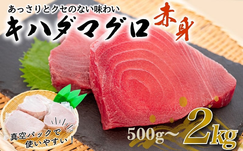 
                  訳あり 大満足 もちもち キハダマグロ 赤身 500g~2kg キハダ マグロ 鮪 魚 魚介類 海鮮 新鮮 国産 国産マグロ 刺し身 刺身 切身 海鮮丼 鉄火丼 おかず 惣菜 ご飯のお供 ふるさと納税 人気 ふるさと納税まぐろ ふるさと納税鮪 TY027-all
                