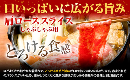 【12ヶ月定期便】美星牛 定期便 ハレノヒ良品 牛 肉