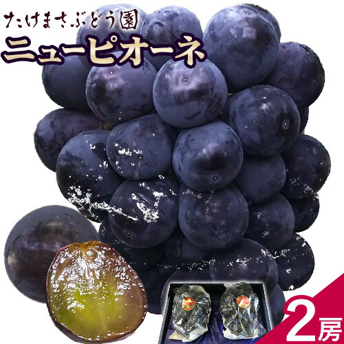 【2026年先行予約】ニューピオーネ 2房(1房500g前後) たけまさぶどう園 《2026年7月中旬-10月中旬頃出荷》岡山県 浅口市 送料無料 フルーツ 果物 岡山県産 青果物 お取り寄せフルーツ 岡山産 ふるさと納税 ピオーネ 岡山 ふるさと納税 ぶどう 岡山【配送不可地域あり】(離島)