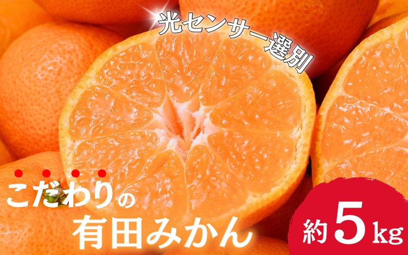 
            ＼光センサー選別／農家直送 【家庭用】こだわりの有田みかん 約5kg＋250g(傷み補償分)【11月･12月･1月から選択可能】 みかん ミカン 有田みかん 温州みかん 柑橘 有田 和歌山 ※北海道・沖縄・離島配送不可/みかん ミカン 有田みかん 温州みかん 柑橘 有田 和歌山 産地直送【nuk160A】
          