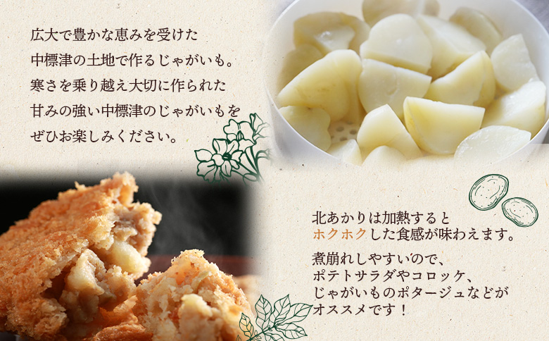 じゃがいも 北あかり 10kg SS～3L サイズ混合 芋 イモ ジャガイモ ポテト キタアカリ オンライン 申請 ふるさと納税 北海道 中標津 野菜 根菜 産地直送 新鮮 採れたて ポテトサラダ コ