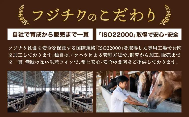 フジチクオリジナル 希少部位と贅沢なふじ馬刺し厳選セット (ふじ馬刺し メン(三枚バラ)、大トロ、中トロ、ヒレ(シャトーブリアン)、ロース、ランプ、上赤身、チョーチン、フタエゴ、バラヒモ、ミスジ、トウ