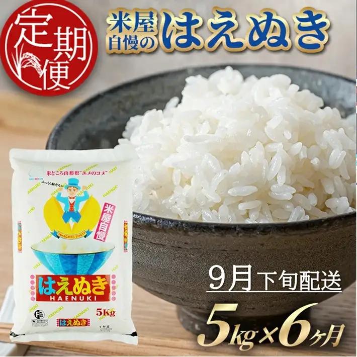SH0092　9月下旬発送開始／【6回定期便】［精米］米屋自慢のはえぬき　5kg×6回(計30kg) TO