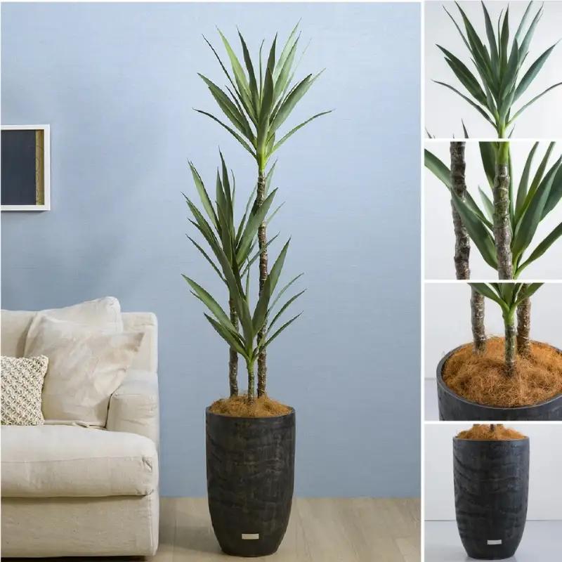 エミリオ・ロバ ユッカラン ユッカ アーティフィシャルグリーン 4L 造花 観葉植物 インテリア