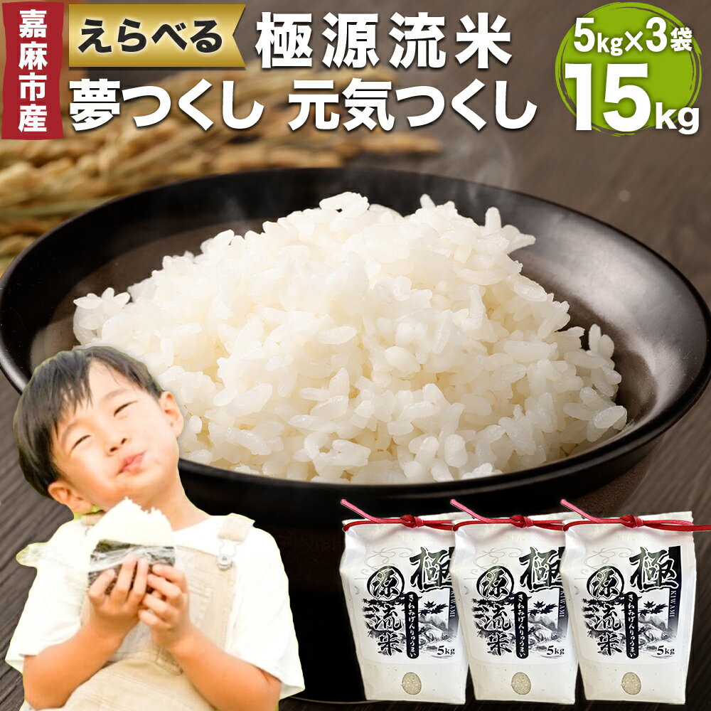 【ふるさと納税】極源流米 5kg×3袋 合計15kg お米 白米 ブランド米 令和7年産 精米 単一原料米 上流栽培米 源流米 選べる 夢つくし 元気つくし 常温 少量生産 福岡県産 嘉麻市 九州産 国産 送料無料