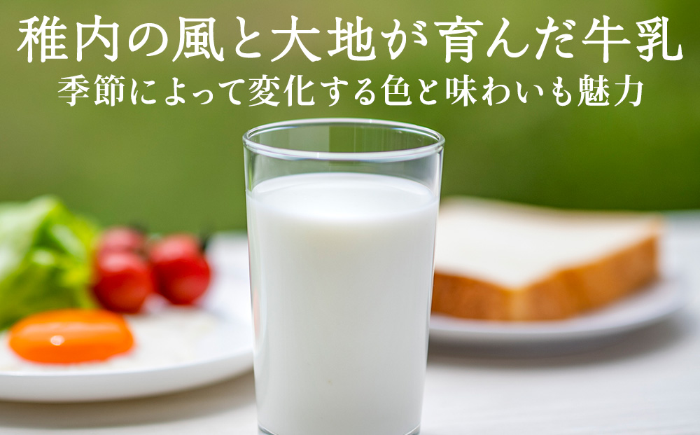 稚内牛乳 900ml × 2本
