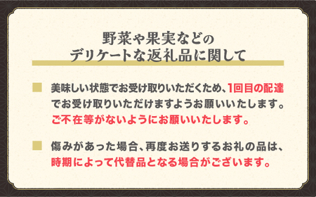 先行予約 すいか スイカ 尾花沢すいか 2Lサイズ 約7kg×1玉 7月下旬～8月10日頃発送 令和7年産 2025年産 尾花沢 スイカ すいか JA ja-su2xx1