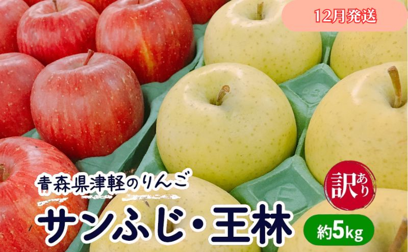 
【12月発送】【訳あり】青森県津軽のりんご「サンふじ・王林」約5kg【里いちみfarm】
