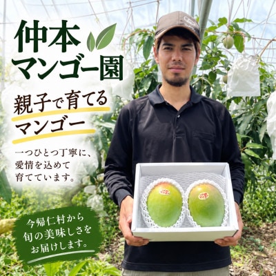 【2027年8月下旬から順次発送】仲本マンゴー園の幻のキーツマンゴー800g(1～2玉)【配送不可地域：離島】