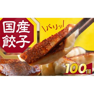 ふるさと納税 豊橋市 【国産】こだわり餃子100個入