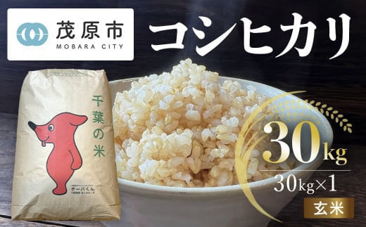 
            新米 令和7年産 千葉県茂原市産 コシヒカリ 玄米30kg 【ふるさと納税 おすすめ 人気 ランキング お米 米 精米 コシヒカリ 玄米 千葉県 茂原市】MBAM013
          