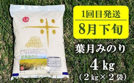 【先行予約・令和8年産新米定期便・8月下旬～発送】新潟米 3種食べ比べ 無洗米 4kg×3回（計 12kg）葉月みのり・コシヒカリ・新之助 水田環境鑑定士在籍[Y0197]