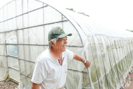 【2026年 観光雑誌付き】奄美産マンゴー 秀品・美玉2kg とろける甘さの黄金果肉 樹上完熟 A052-020