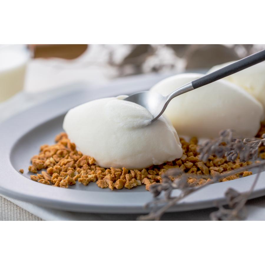 ＜NOWA＞THE ICE 5種食べ比べセット 100ml×12個